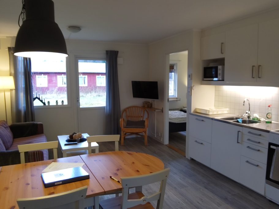 Allrum med kök Ett ljust rum med kök, matbord, soffa, fönster och en dörr till ett sovrum.